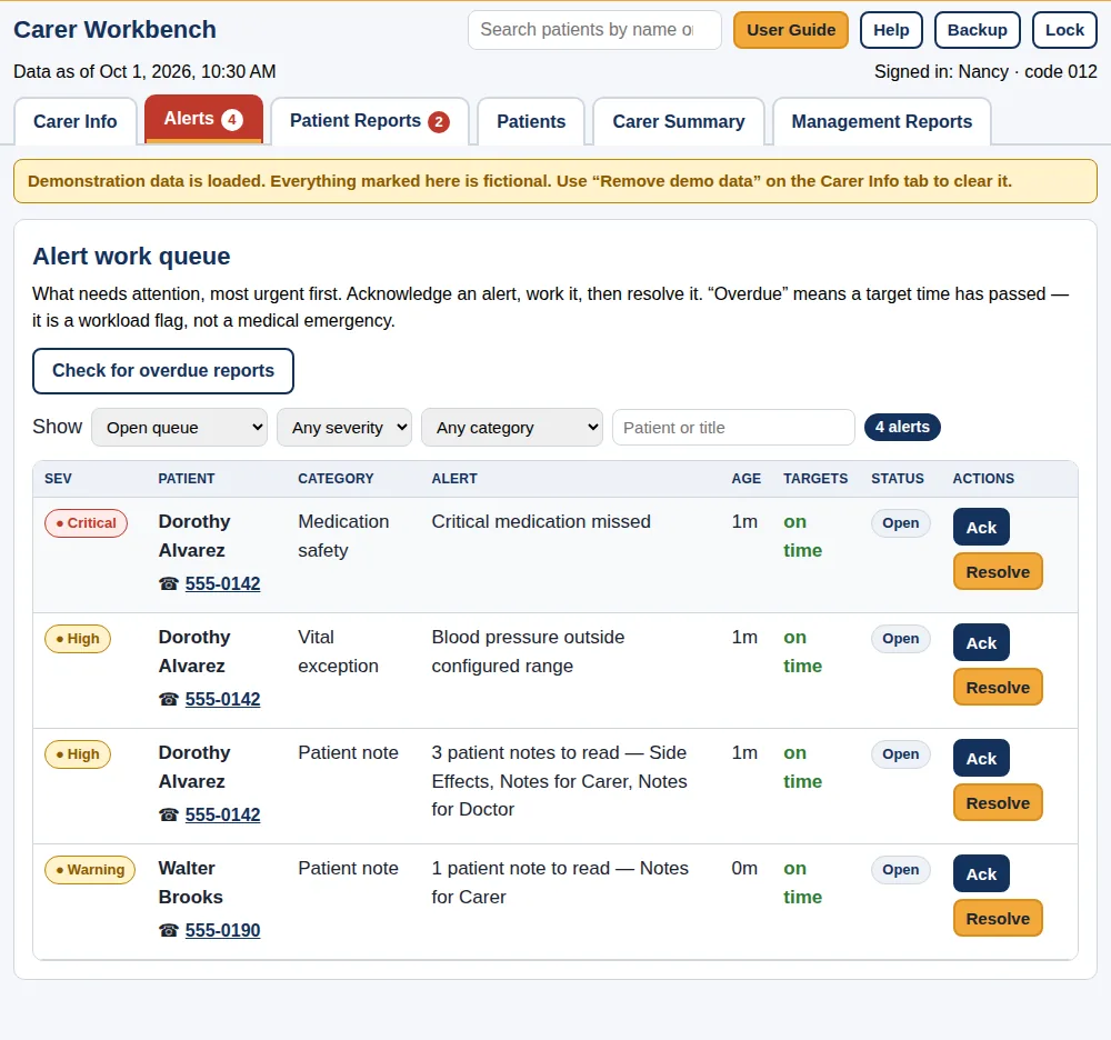 The alert work queue with critical, high and warning alerts for fictional people